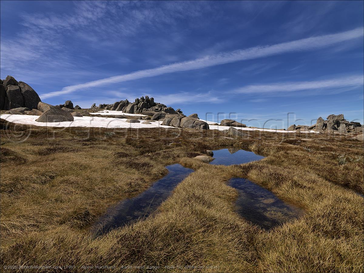 Peter Bellingham Photography Alpine Marshland - Rams Head Range - NSW SQ (PBH4 00 10816)